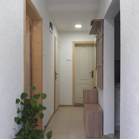 Duke Apartment Zabljak  Exterior photo